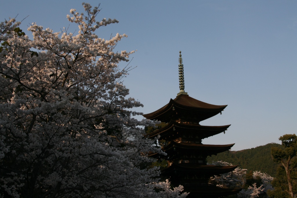 ”市内の風景”（Photo by S.Uchiyama）