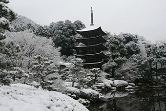 ”市内の風景”（Photo by S.Uchiyama）